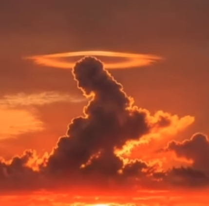 Registro foi captado por influenciadora por Reprodução | Redes Sociais