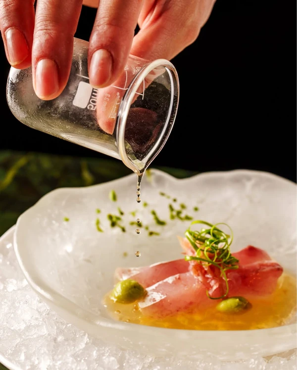 Pratos do Tuju por Reprodução