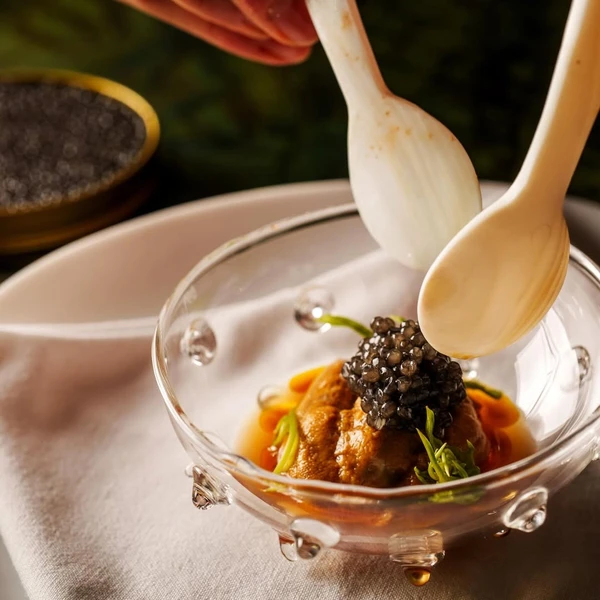 Pratos do Tuju por Reprodução