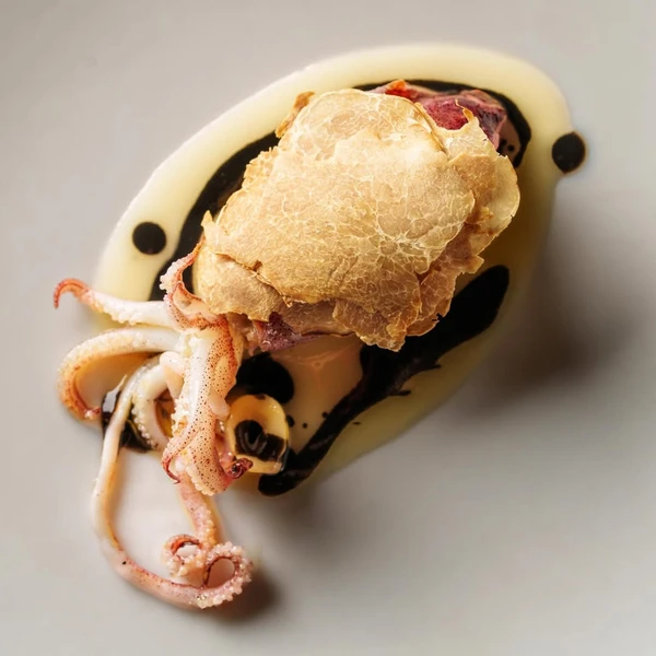 Pratos do Tuju por Reprodução