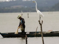 Imagem - Mudanças aprovadas para o seguro-defeso previnem fraudes, diz relator