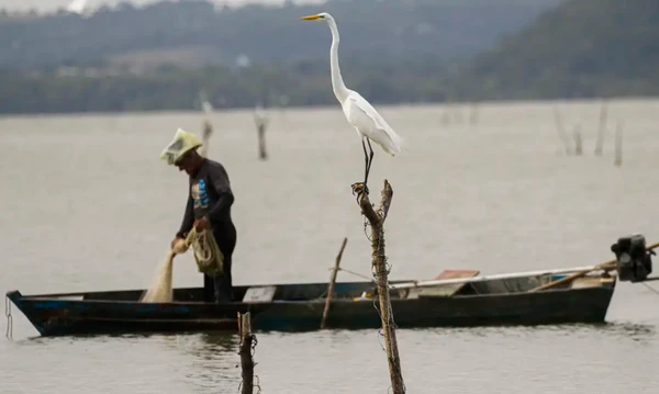 Um pescador é visto pescando na lagoa