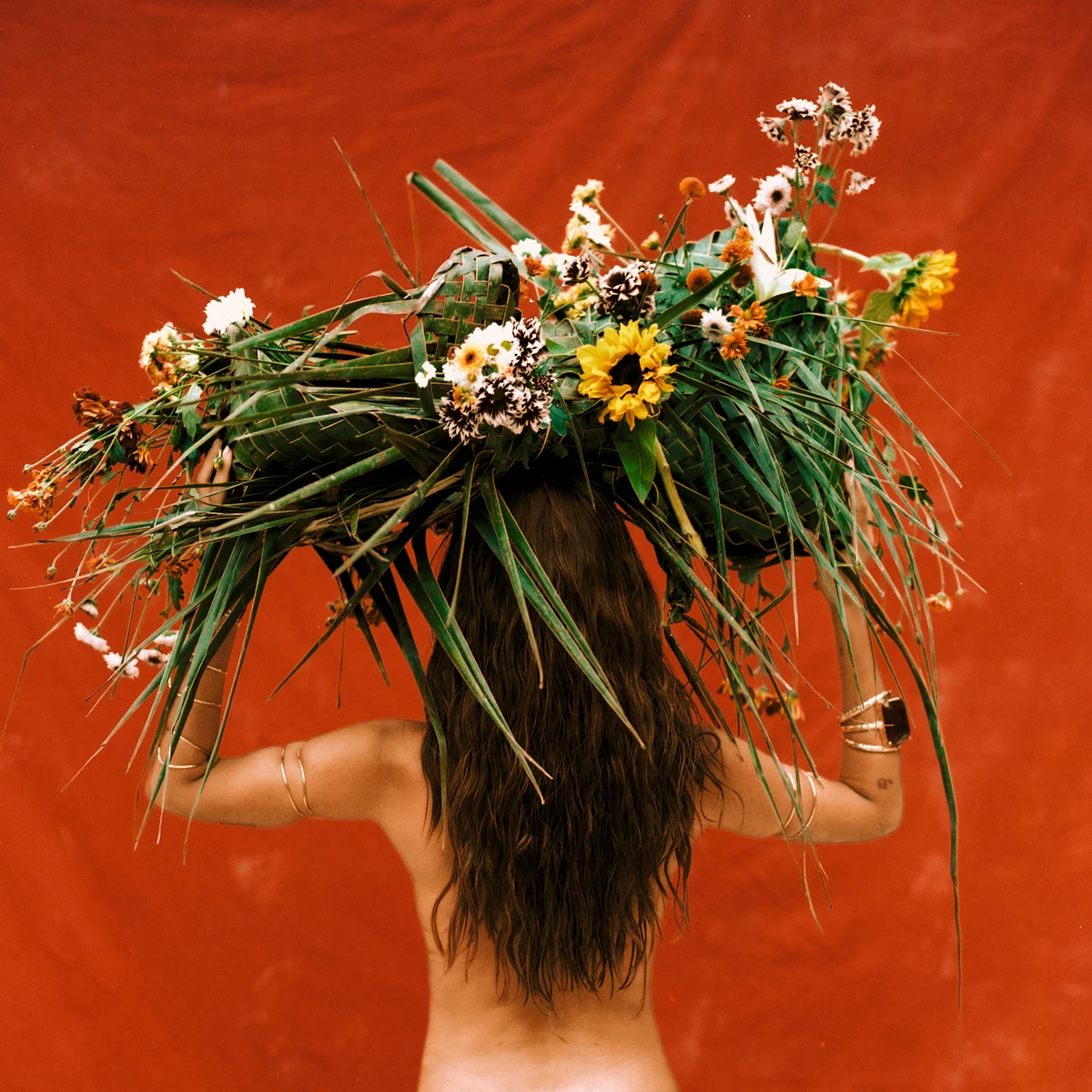 Anitta lança EQUILIBRIVM, álbum mais íntimo da carreira, com Shakira, Liniker e homenagens à Bahia por DIvulgação