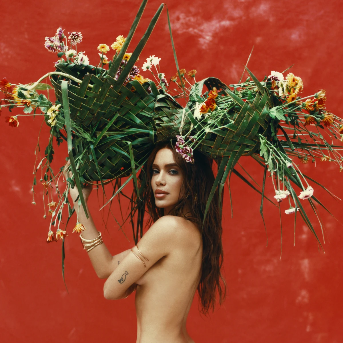 Anitta lança EQUILIBRIVM, álbum mais íntimo da carreira, com Shakira, Liniker e homenagens à Bahia por DIvulgação