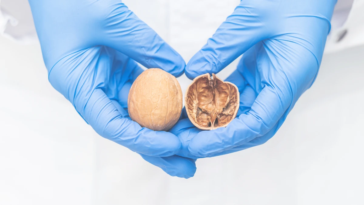 Câncer no testículo 