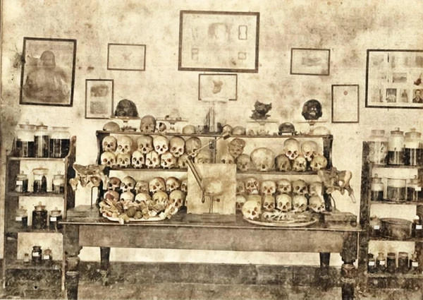 escritório de Nina Rodrigues, onde estão as cabeças de Antônio Conselheiro e Lucas da Feira por Robério Santos / acervo pessoal