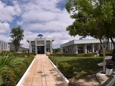 Imagem - Sem pagamento, cemitério notifica mais de 260 famílias e anuncia exumação de restos mortais por dívida