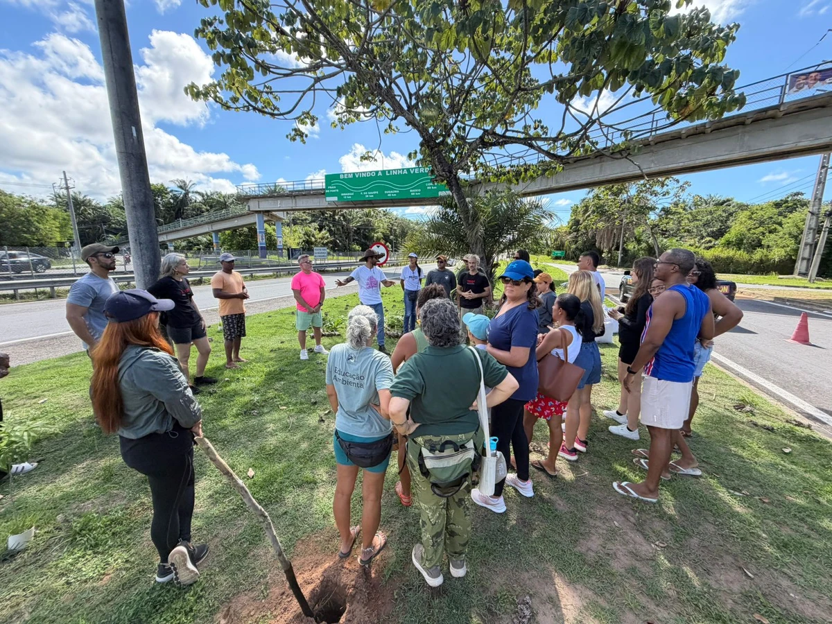 Com Daniel Cady, TEDx Praia do Forte fortalece agenda ambiental com plantio de mudas nativas
