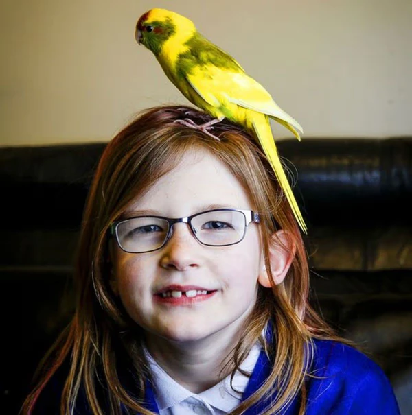 Olivia Farnsworth por Reprodução