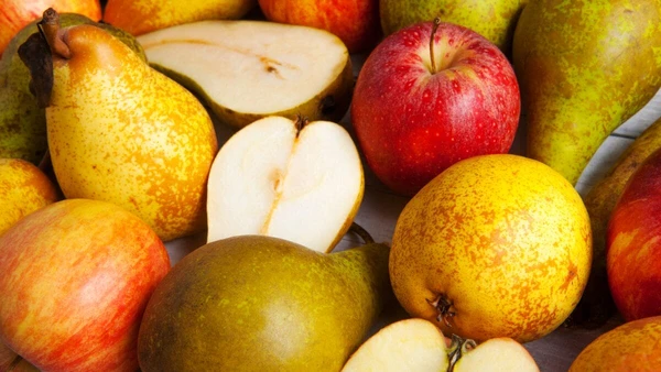 Pera por Reprodução