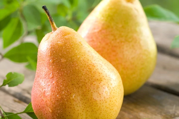 Pera por Reprodução