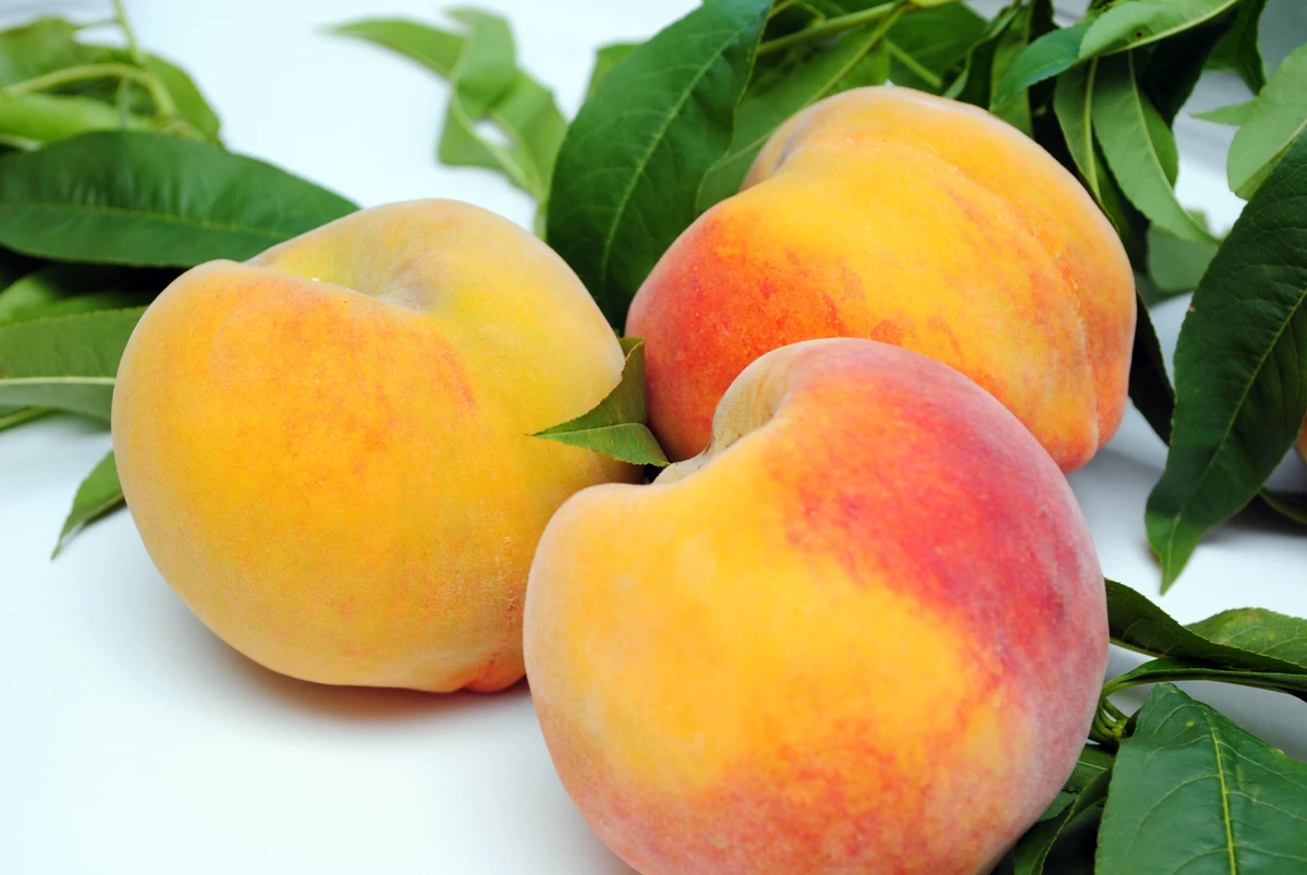 Pêssego por Divulgação