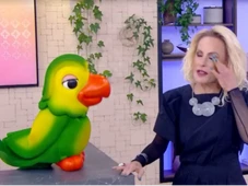 Imagem - Abalada, Ana Maria Braga vai às lágrimas com apoio de Tadeu Schmidt a Ana Paula no BBB 26 e chama intervalo ao vivo