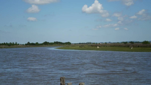 Sem muros ou burocracia, a Avenida Internacional integra o comércio de free shops a uma "fronteira viva" onde português e espanhol se fundem no cotidiano por Wikimedia Commons
