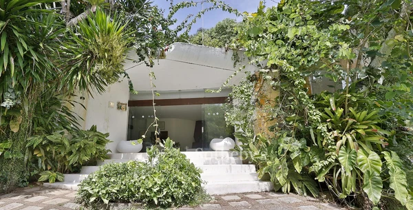 Ilha dos Porcos Grandes por Divulgação