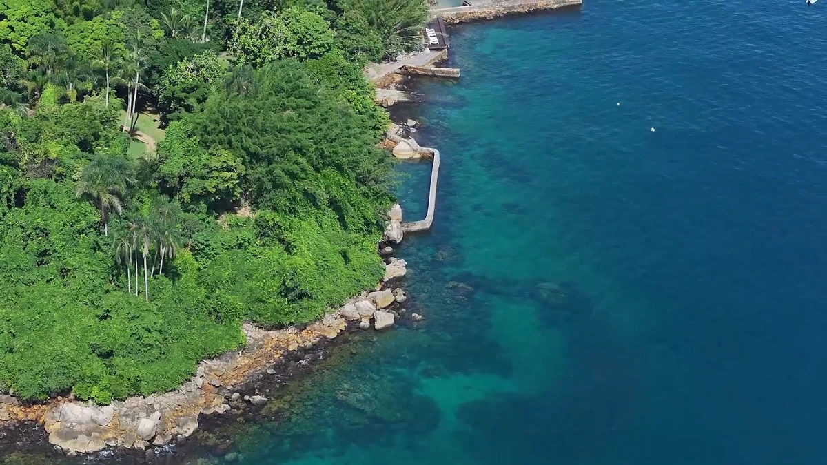 Ilha dos Porcos Grandes por Divulgação