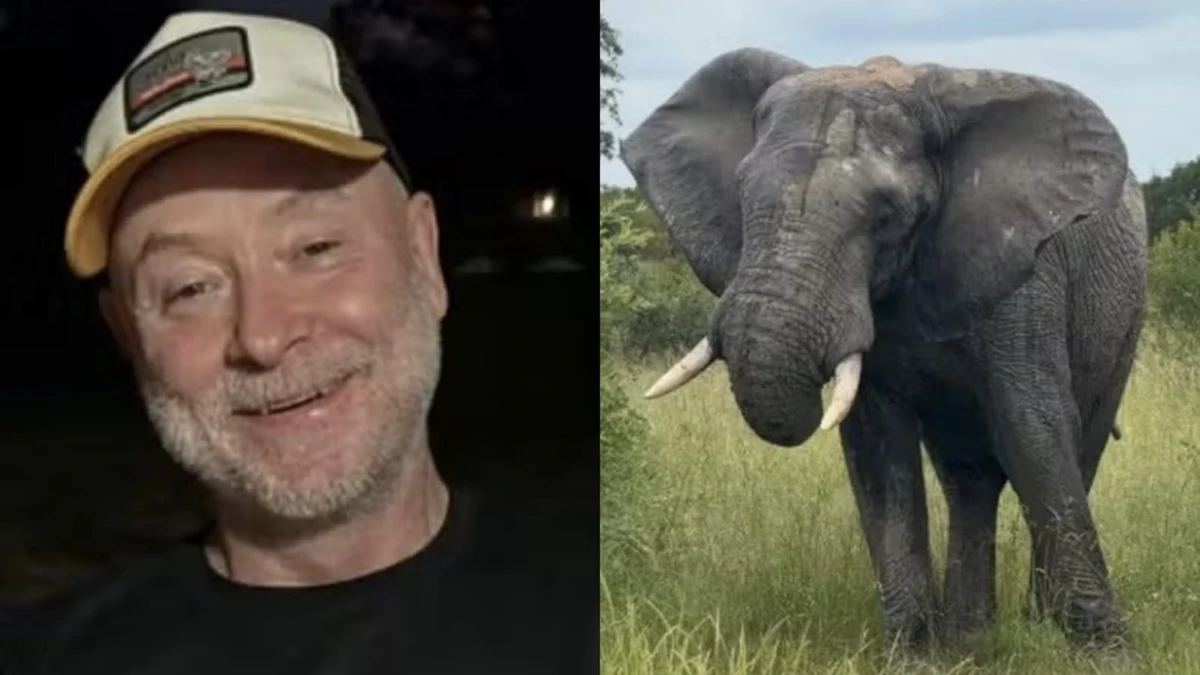 Dono de safári que dizia preferir a morte a matar um elefante morre pisoteado pelo animal