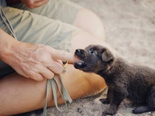 Imagem - Você está chamando seu pet do jeito errado, e é por isso que muitas vezes ele te ignora