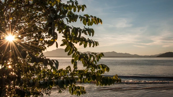 Descubra como visitar a Ilha do Cardoso, um paraíso isolado em Cananéia que une preservação ambiental, gastronomia típica e sossego absoluto por Wikimedia Commons