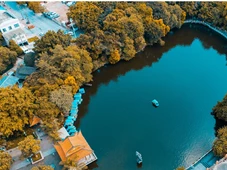 Imagem - O que atrai abelhas, vespas e formigas para as cidades não é o que você imagina e por que a vida urbana depende delas