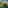 Imagem - Ilha paradisíaca com 300 mil m², seis suítes e equipe completa pode ser alugada a partir de R$ 6 mil por dia