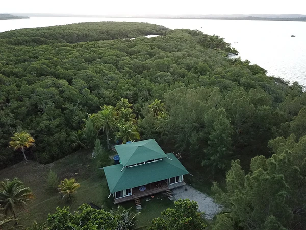 Casa fica em meio a área de mata por Divulgação