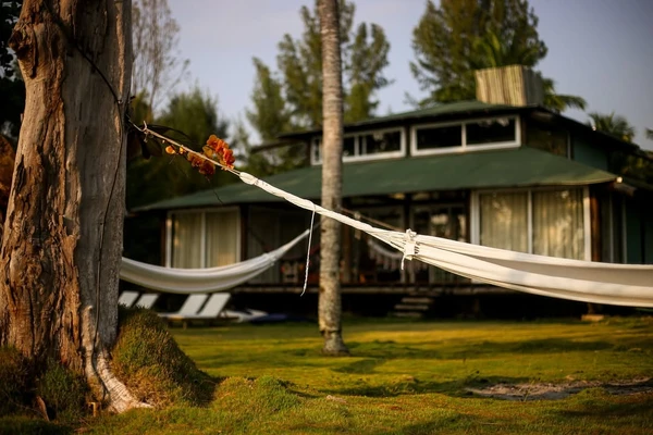 Cenário na ilha por Divulgação