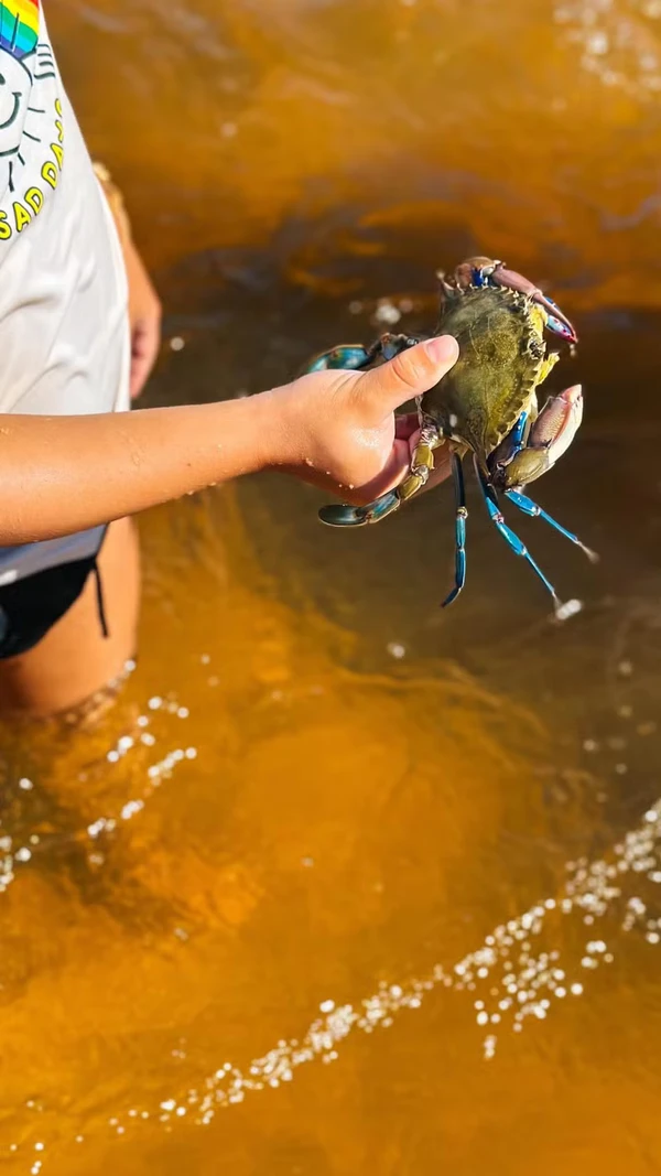 Isis Valverde e Marcus Buaiz compartilharam cliques em Trancoso por Reprodução/Instagram