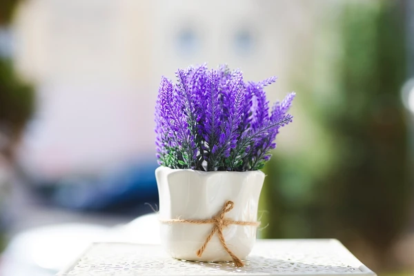 Peixes – Lavanda: Com aroma relaxante, promove a paz espiritual e a conexão necessária para acalmar a mente sonhadora do pisciano. por Shutterstock