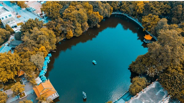 Pesquisa em São Carlos revela por que alguns parques conseguem abrigar mais insetos e sustentar uma biodiversidade surpreendente