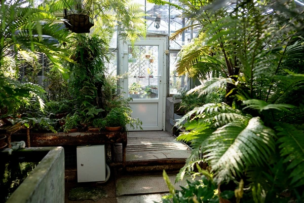 Plantas por Shutterstock