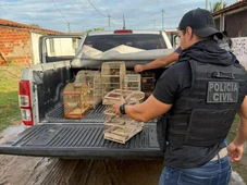 Imagem - 15 aves silvestres vítimas de maus-tratos são resgatadas na Bahia