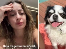 Imagem - Ex de Projota relata morte trágica de cachorro na porta de casa: 'Perdi meu melhor amigo'