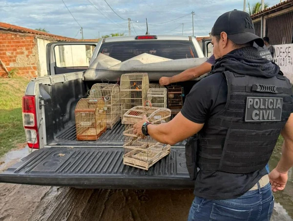 Aves são resgatadas na Bahia