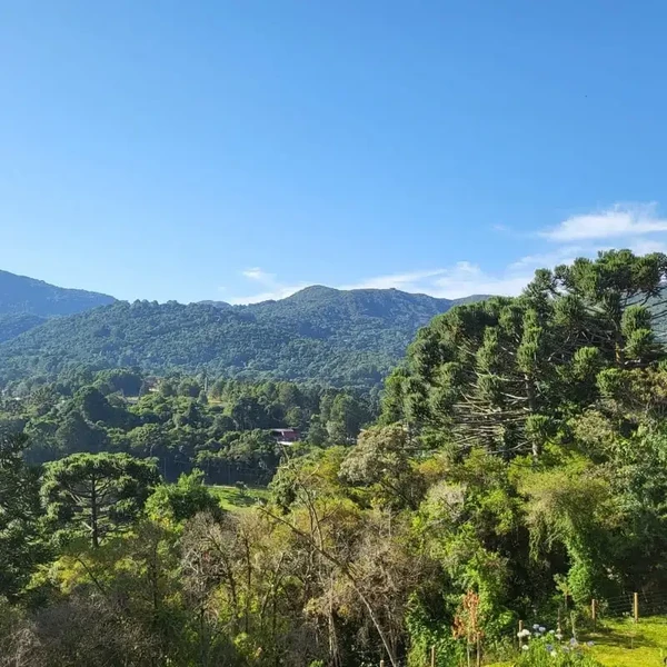 Conheça o lugar que desbancou Campos do Jordão e Gramado e foi eleito o melhor destino de inverno do país por Divulgação