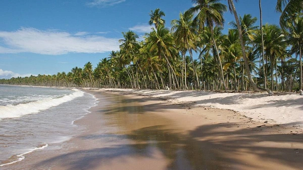 Águas cristalinas e sossego absoluto na Ilha de Boipeba, um refúgio baiano que parece ter parado no tempo por Wikimedia Commons