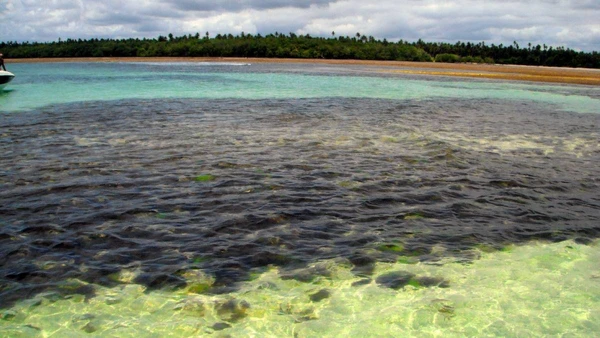 Águas cristalinas e sossego absoluto na Ilha de Boipeba, um refúgio baiano que parece ter parado no tempo por Wikimedia Commons