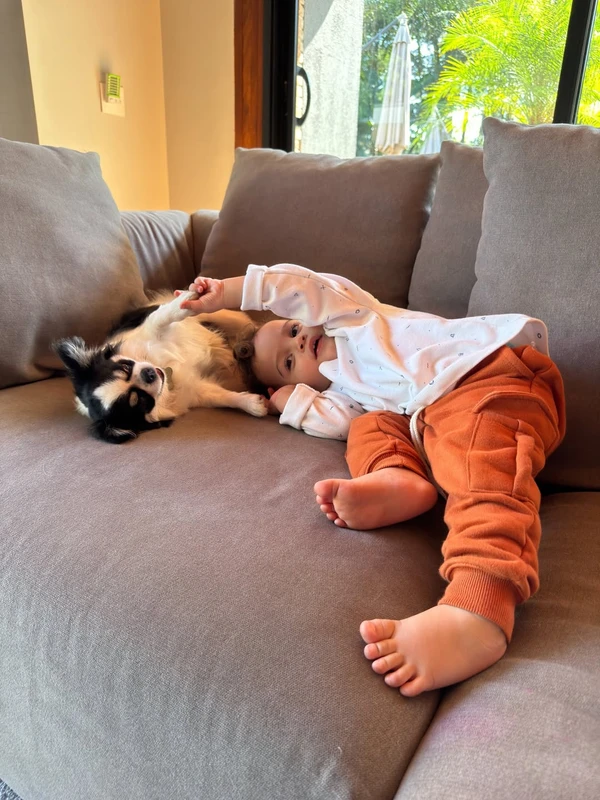 Tamy Contro desabafou nas redes sociais sobre morte trágica do cachorro por Reprodução/Instagram