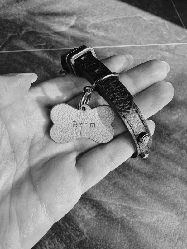 Tamy Contro desabafou nas redes sociais sobre morte trágica do cachorro por Reprodução/Instagram