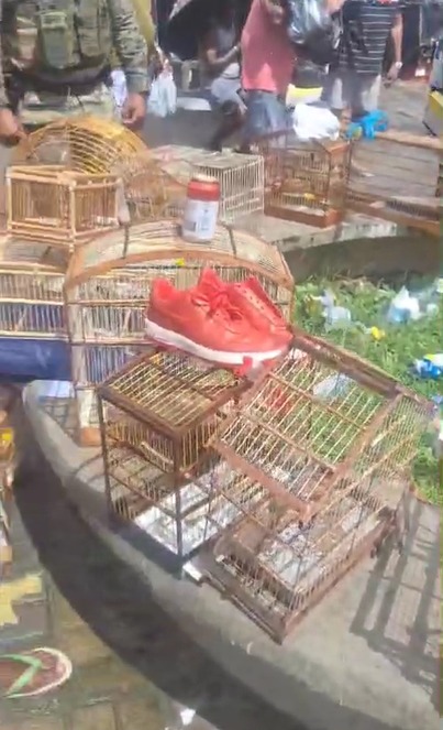 PM resgata 21 aves silvestres na Feira do Rolo, na Baixa do Fiscal por Divulgação