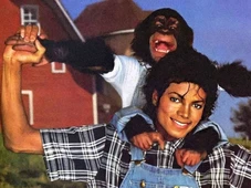 Imagem - Chimpanzé de Michael Jackson está vivo? Saiba destino de Bubbles após aparecer em filme
