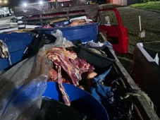 Imagem - Fiscalização apreende quase uma tonelada de carne clandestina em município na Bahia