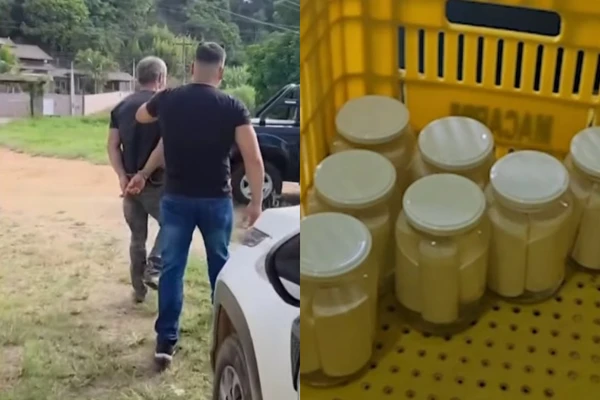Fábrica clandestina de palmito é fechada por irregularidades sanitárias