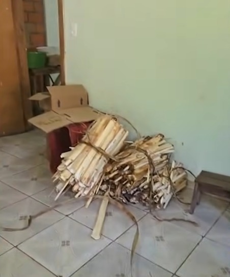 Fábrica clandestina de palmito é fechada por irregularidades sanitárias por NDTV