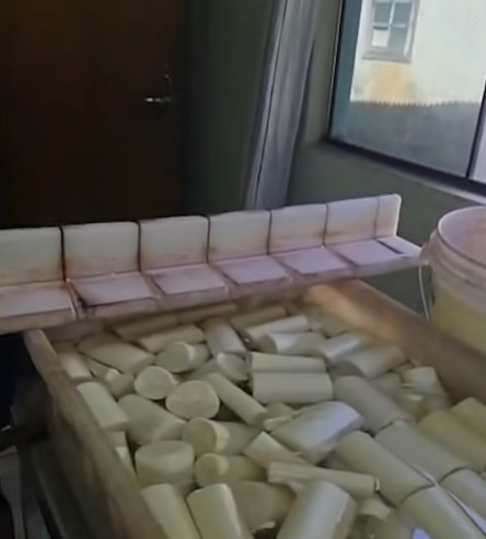 Fábrica clandestina de palmito é fechada por irregularidades sanitárias por NDTV