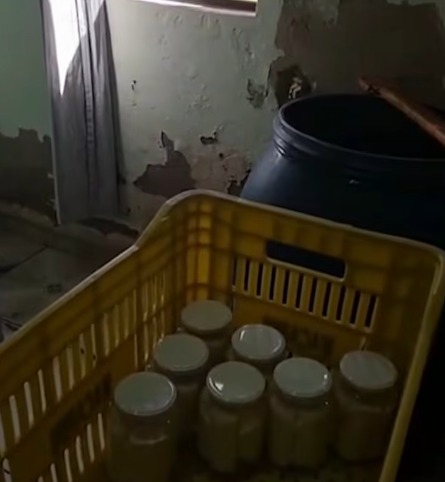 Fábrica clandestina de palmito é fechada por irregularidades sanitárias por NDTV