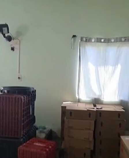 Fábrica clandestina de palmito é fechada por irregularidades sanitárias por NDTV