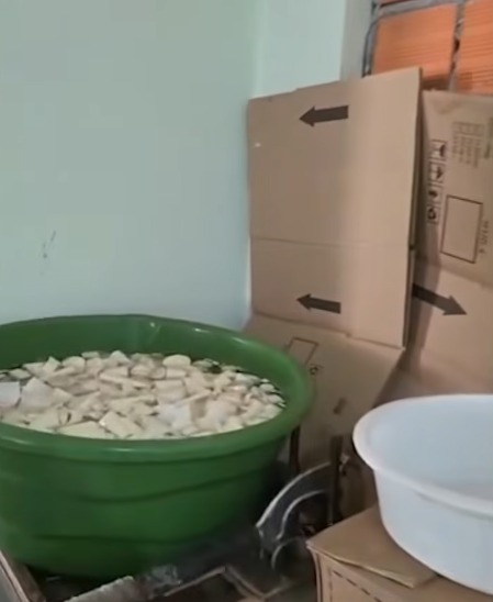 Fábrica clandestina de palmito é fechada por irregularidades sanitárias por NDTV