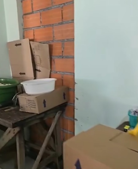 Fábrica clandestina de palmito é fechada por irregularidades sanitárias por NDTV