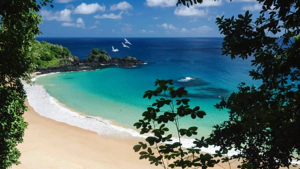 Baía de Sancho por Wikimedia Commons